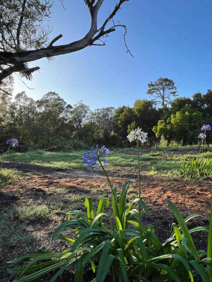 Appartamento Forest Gate Estate Plettenberg Bay Esterno foto