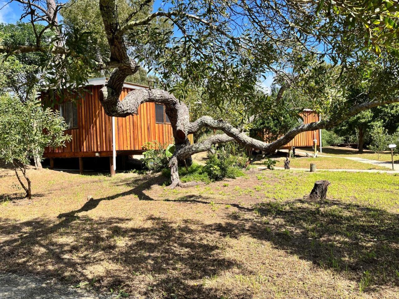 Forest Gate Resort Plettenberg Bay Esterno foto