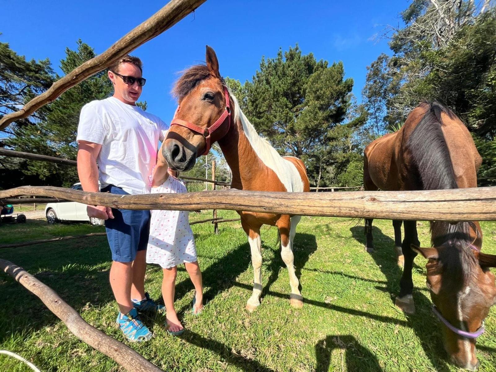 Forest Gate Resort Plettenberg Bay Esterno foto